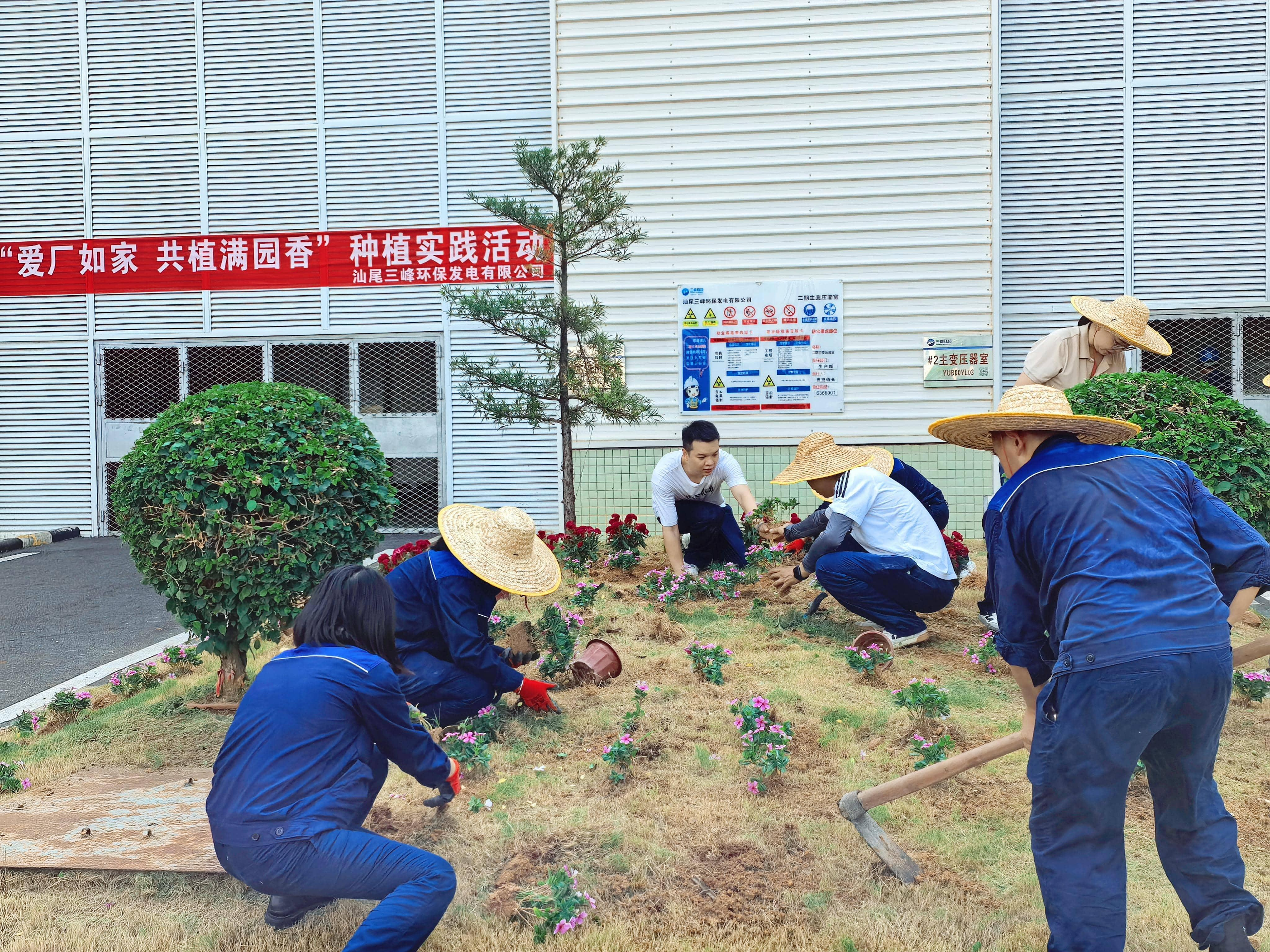 種植實(shí)踐活動.png 種植實(shí)踐活動.png